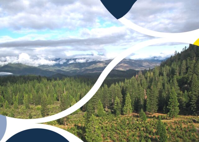 Carbon offsetting explained