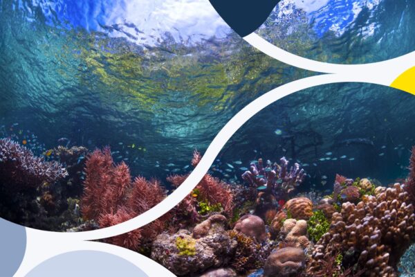 Discussion Event: Contracts, Climate and Biodiversity