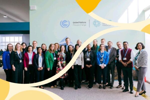 Blog from Baku: Q&A on the High-Level Champion’s SME campaign