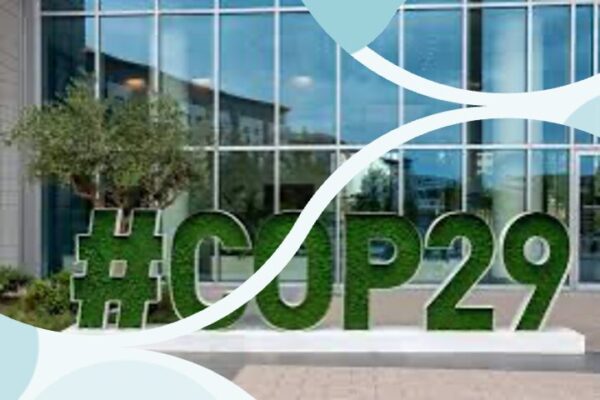 Policy briefing on COP29 Outcomes: Implications for board directors 